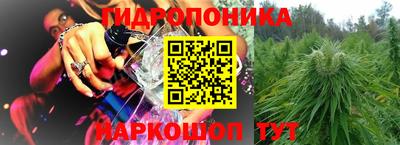 гидропоника Будённовск