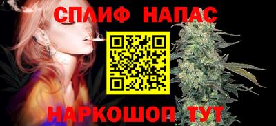 гидропоника Будённовск