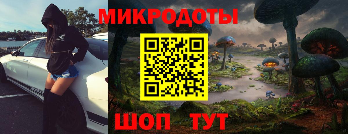 Псилоцибиновые грибы Psilocybine cubensis Череповец