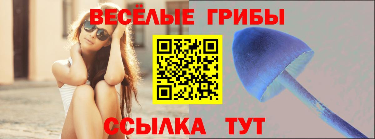 Череповец  Галлюциногенные грибы прущие грибы  Вход с VPN 